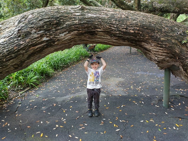 IMG 20230111 123418 HDR