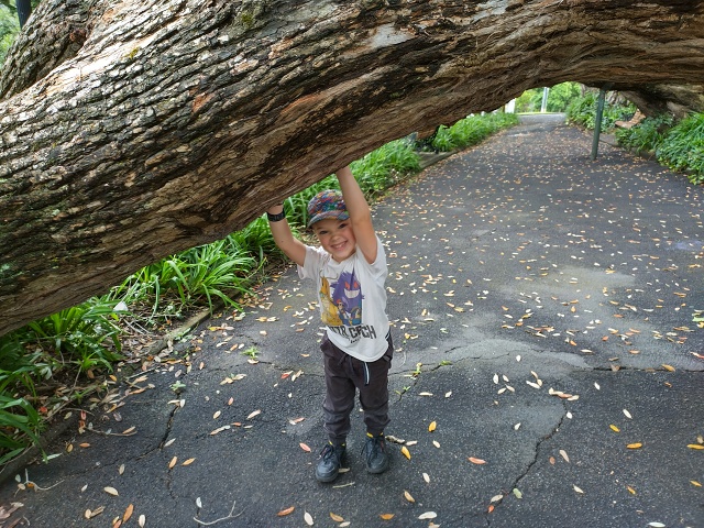 IMG 20230111 123445 HDR