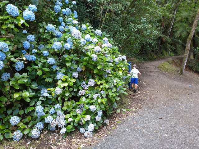 IMG 20230113 143809 HDR