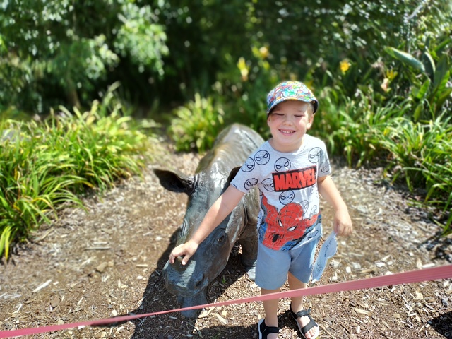 IMG 20230114 151849 HDR