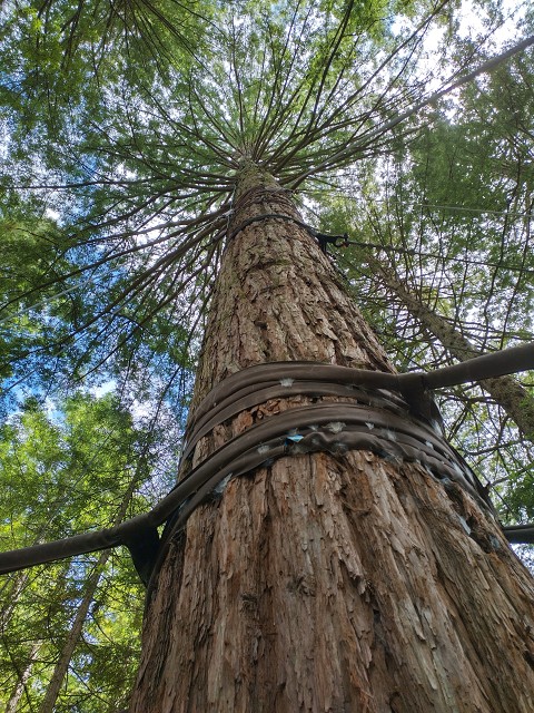 IMG 20230115 122904 HDR