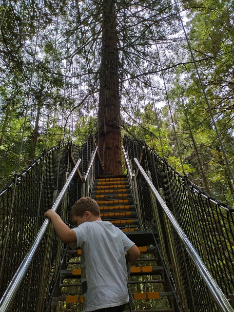 IMG 20230115 122919 HDR