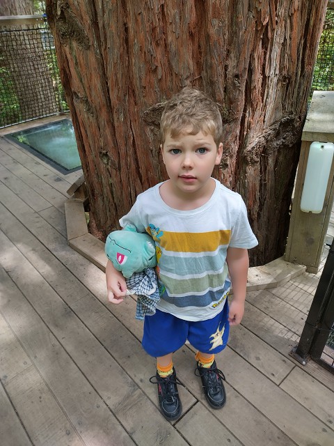 IMG 20230115 123016 HDR