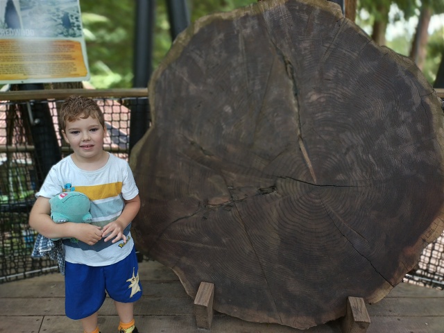 IMG 20230115 124114 HDR